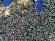 Risky Pissing Outside 15/16