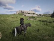 Red Dead Redemption 2 11/16