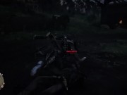 Red Dead Redemption 2 12/16