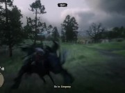 Red Dead Redemption 2 14/16