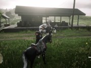 Red Dead Redemption 2 4/16