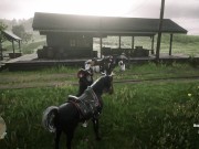 Red Dead Redemption 2 5/16