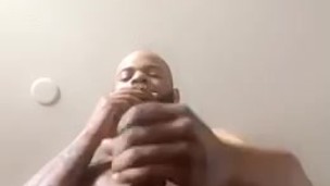 Bake & Bust A Nut
