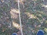 Being Dirty Morning Public Pissing 10/16