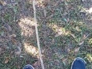 Being Dirty Morning Public Pissing 8/16