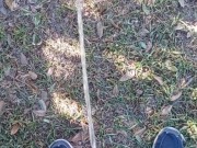 Risky Public Pissing Nonstop 11/16