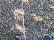 Risky Public Pissing Nonstop 14/16