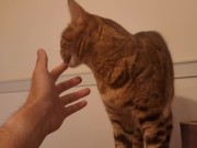 Playing in the furry kitty's bedroom .... Do you like pussy that lick you carefully? 12/16