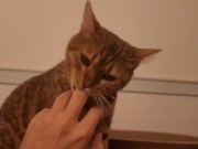 Playing in the furry kitty's bedroom .... Do you like pussy that lick you carefully? 13/16