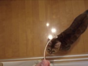 The furry pussy will jump at you for your treats ..... 12/16