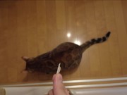 The furry pussy will jump at you for your treats ..... 6/16