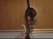 Your face is my target (#pussyjumpchallenge) 1/16