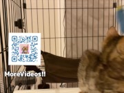 Your face is my target (#pussyjumpchallenge) 10/16