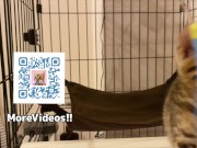 Your face is my target (#pussyjumpchallenge) 11/16