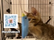 Your face is my target (#pussyjumpchallenge) 12/16