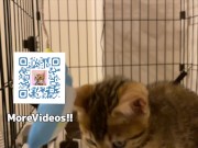 Your face is my target (#pussyjumpchallenge) 13/16