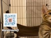 Your face is my target (#pussyjumpchallenge) 14/16