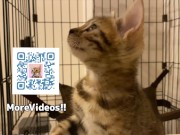 Your face is my target (#pussyjumpchallenge) 15/16