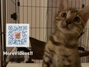 Your face is my target (#pussyjumpchallenge) 16/16