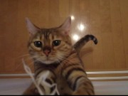 Your face is my target (#pussyjumpchallenge) 3/16