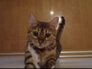 Your face is my target (#pussyjumpchallenge) 4/16