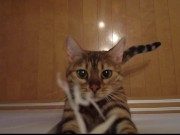 Your face is my target (#pussyjumpchallenge) 5/16