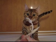 Your face is my target (#pussyjumpchallenge) 6/16