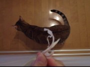 Your face is my target (#pussyjumpchallenge) 7/16