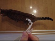 Your face is my target (#pussyjumpchallenge) 8/16