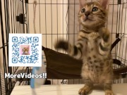 Your face is my target (#pussyjumpchallenge) 9/16