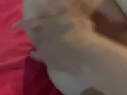 Me follaron tan bien que me corro 11/16