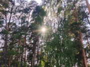 Beautiful public electro cum 2/16