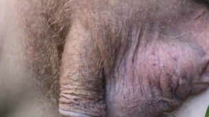 pee trans nature it is fall you all