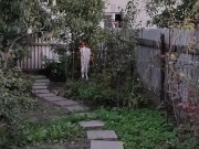 Evening in the garden