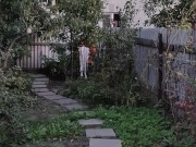 Evening in the garden 11/16