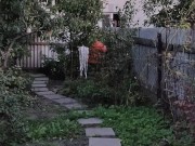 Evening in the garden 12/16