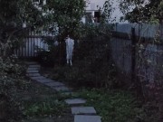 Evening in the garden 15/16