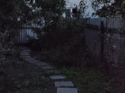 Evening in the garden 16/16