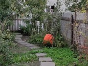 Evening in the garden 2/16