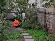 Evening in the garden 5/16