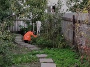 Evening in the garden 6/16