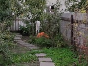 Evening in the garden 7/16