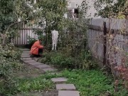 Evening in the garden 8/16