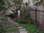 Evening in the garden 9/16