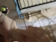 Sexy girlfriend hand job cumming