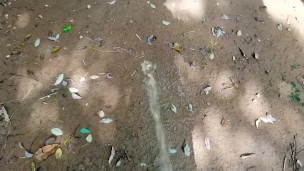 Peeing To Earth Soil 🌍_ how real men Urinate 💪_ bubbly pee 💦