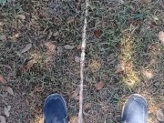 Risky Public Pissing 13/16