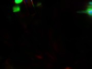 Big Ass Teen RedHead Fucked me in My Room 2/16