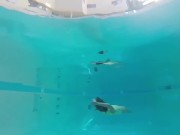 Underwater Swimming Compilation Asian Japanese Swimsuits 1/16