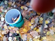 went for mushrooms and wetted the leaves
